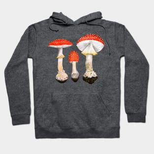 Fly Agaric Mushrooms Hoodie